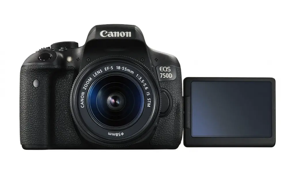 Canon EOS 750D - Spiegelreflex Kamera mit Display