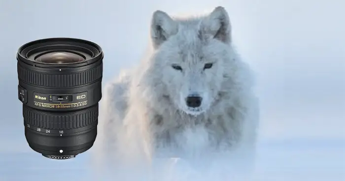 Nikon Wintercashback 2016